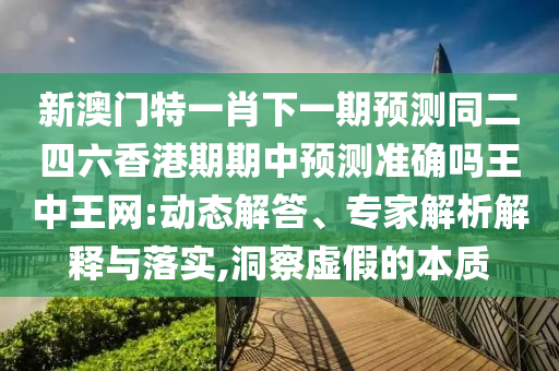 新澳門特一肖下一期預(yù)測同二四六香港期期中預(yù)測準確嗎王中王網(wǎng):動態(tài)解答、專家解析解釋與落實,洞察虛假的本質(zhì)