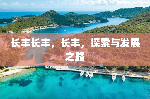 長豐長豐，長豐，探索與發(fā)展之路