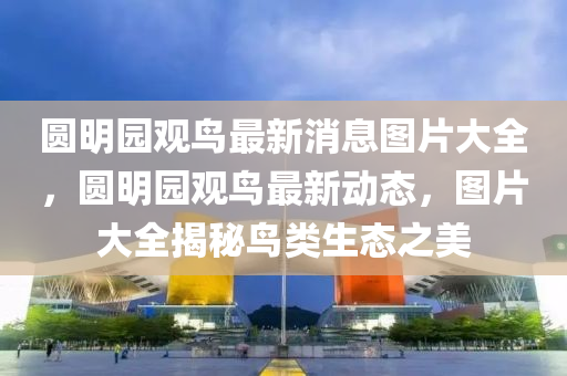圓明園觀鳥最新消息圖片大全，圓明園觀鳥最新動態(tài)，圖片大全揭秘鳥類生態(tài)之美