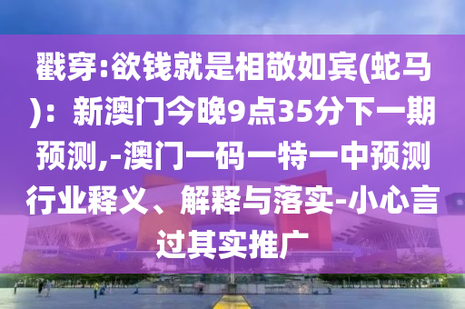 戳穿:欲錢就是相敬如賓(蛇馬)：新澳門今晚9點(diǎn)35分下一期預(yù)測(cè),-澳門一碼一特一中預(yù)測(cè)行業(yè)釋義、解釋與落實(shí)-小心言過其實(shí)推廣