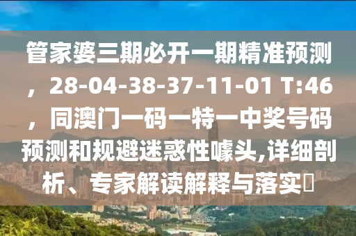 管家婆三期必開一期精準(zhǔn)預(yù)測，28-04-38-37-11-01 T:46，同澳門一碼一特一中獎號碼預(yù)測和規(guī)避迷惑性噱頭,詳細(xì)剖析、專家解讀解釋與落實?