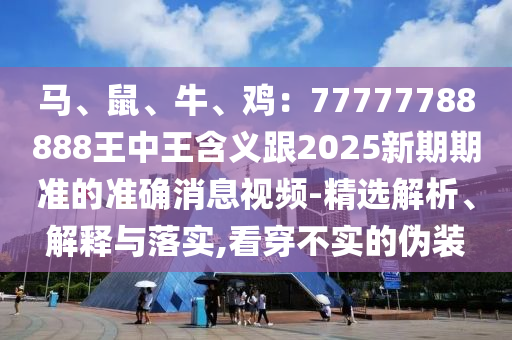 馬、鼠、牛、雞：77777788888王中王含義跟2025新期期準(zhǔn)的準(zhǔn)確消息視頻-精選解析、解釋與落實(shí),看穿不實(shí)的偽裝