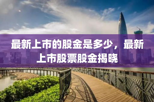 最新上市的股金是多少，最新上市股票股金揭曉