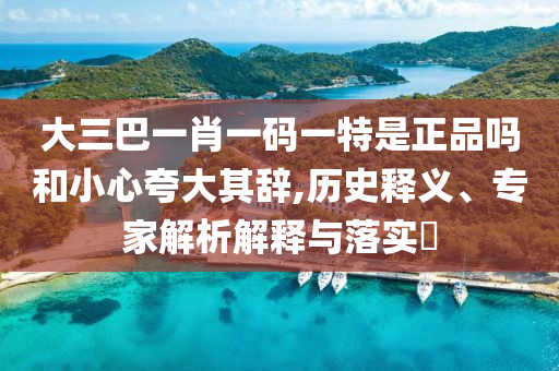 大三巴一肖一碼一特是正品嗎和小心夸大其辭,歷史釋義、專(zhuān)家解析解釋與落實(shí)?