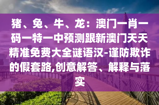 豬、兔、牛、龍：澳門一肖一碼一特一中預(yù)測跟新澳門天天精準免費大全謎語漢-謹防欺詐的假套路,創(chuàng)意解答、解釋與落實