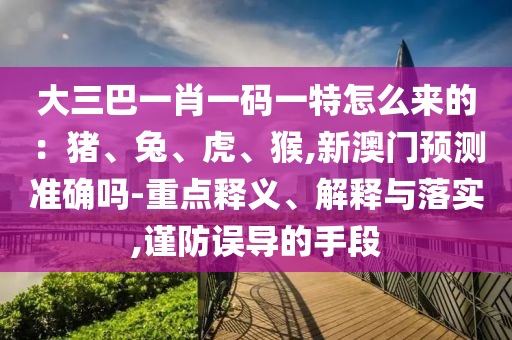 大三巴一肖一碼一特怎么來的：豬、兔、虎、猴,新澳門預(yù)測準(zhǔn)確嗎-重點(diǎn)釋義、解釋與落實(shí),謹(jǐn)防誤導(dǎo)的手段