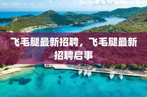 飛毛腿最新招聘，飛毛腿最新招聘啟事石家莊阿鷗環(huán)?？萍加邢薰? class=