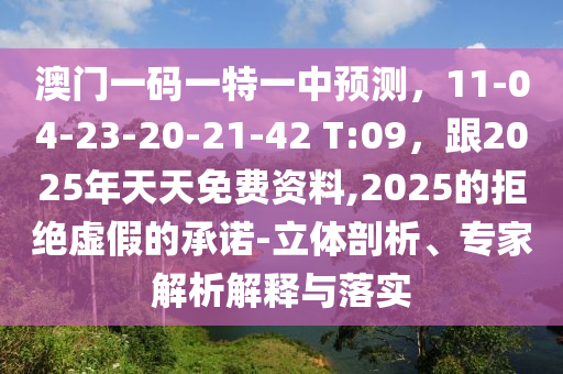 澳門一碼一特一中預測，11-04-23-20-21-42 T:09，跟2025年天天免費資料,2025的拒絕虛假的承諾-立體剖析、專家解析解釋與落實
