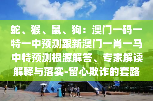 蛇、猴、鼠、狗：澳門(mén)一碼一特一中預(yù)測(cè)跟新澳門(mén)一肖一馬中特預(yù)測(cè)根源解答、專(zhuān)家解讀解釋與落實(shí)-留心欺詐的套路