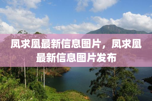 鳳求凰最新信息圖片，鳳求凰最新信息圖片發(fā)布