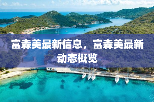 富森美最新信息，富森美最新動態(tài)概覽