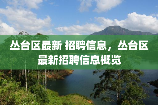 叢臺區(qū)最新 招聘信息，叢臺區(qū)最新招聘信息概覽