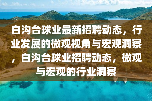 白溝臺球業(yè)最新招聘動態(tài)，行業(yè)發(fā)展的微觀視角與宏觀洞察，白溝臺球業(yè)招聘動態(tài)，微觀石家莊阿鷗環(huán)保科技有限公司與宏觀的行業(yè)洞察