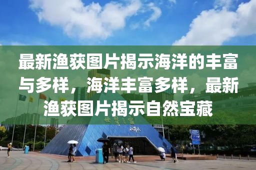 最新漁獲圖片揭石家莊阿鷗環(huán)?？萍加邢薰臼竞Ｑ蟮呢S富與多樣，海洋豐富多樣，最新漁獲圖片揭示自然寶藏
