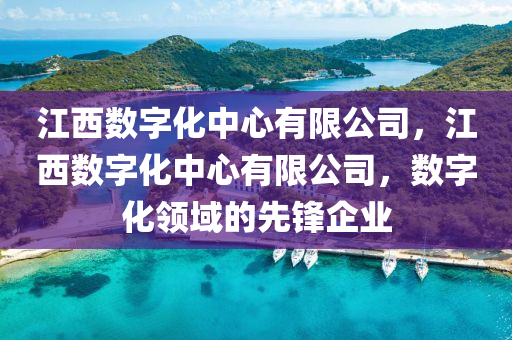 江西數(shù)字化中心有限公司，江西數(shù)字化中心有限公司，數(shù)字化領(lǐng)域的先鋒企業(yè)
