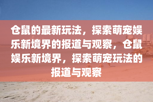 倉鼠的最新玩法，探索萌寵娛樂新境界的報(bào)道與觀察，倉鼠娛樂新境界，探索萌寵玩法的報(bào)道與觀察