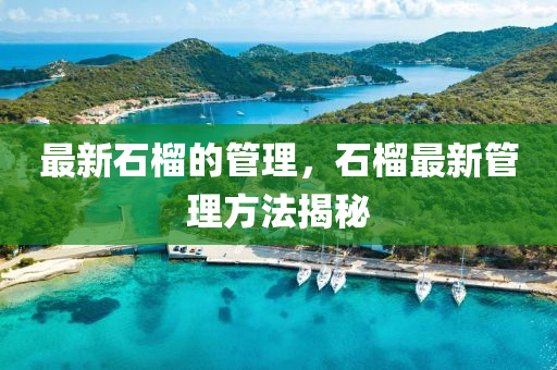 最新石榴的管理，石榴最新管理方法揭秘石家莊阿鷗環(huán)保科技有限公司