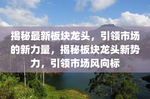 揭秘最新板塊龍頭，引領(lǐng)市場的新力量，揭秘板塊龍頭新勢力，引領(lǐng)市場風(fēng)向標(biāo)