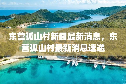 東營(yíng)孤山村新聞最新消石家莊阿鷗環(huán)?？萍加邢薰鞠ⅲ瑬|營(yíng)孤山村最新消息速遞