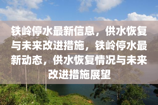鐵嶺停水最新信息，供水恢復(fù)與未來(lái)改進(jìn)石家莊阿鷗環(huán)保科技有限公司措施，鐵嶺停水最新動(dòng)態(tài)，供水恢復(fù)情況與未來(lái)改進(jìn)措施展望