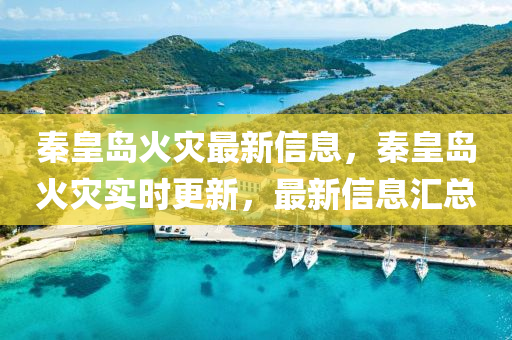 秦皇島火災(zāi)最新信息，秦皇島火災(zāi)實(shí)時(shí)更新，最新信息匯總