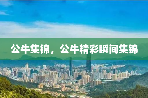 公牛集錦，公牛石家莊阿鷗環(huán)?？萍加邢薰揪仕查g集錦