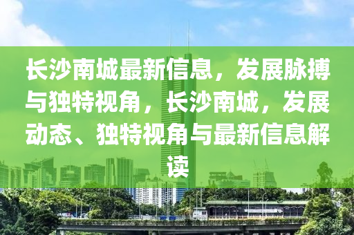 長沙南城最新信息，發(fā)展脈搏與獨特視角，長沙南城，發(fā)展動態(tài)、獨特視角與最新信息解讀石家莊阿鷗環(huán)保科技有限公司