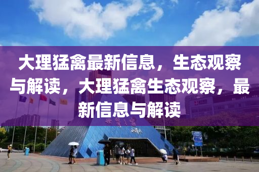 大理猛禽最新信息，石家莊阿鷗環(huán)?？萍加邢薰旧鷳B(tài)觀察與解讀，大理猛禽生態(tài)觀察，最新信息與解讀