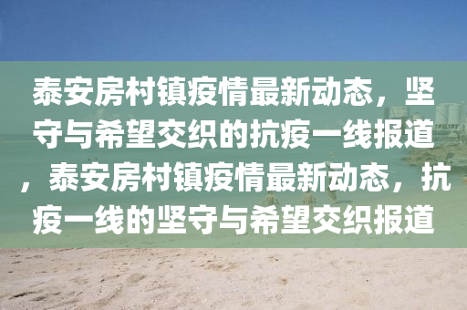 泰安房村鎮(zhèn)疫石家莊阿鷗環(huán)?？萍加邢薰厩樽钚聞討B(tài)，堅守與希望交織的抗疫一線報道，泰安房村鎮(zhèn)疫情最新動態(tài)，抗疫一線的堅守與希望交織報道