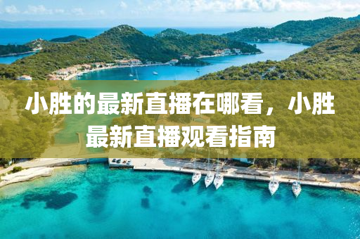 小勝的最新直播在哪看，小勝最新直播觀看指南石家莊阿鷗環(huán)?？萍加邢薰? class=
