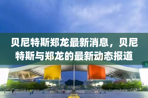 貝尼特斯鄭龍最新消息，貝尼特斯與鄭龍的最新動(dòng)態(tài)報(bào)道石家莊阿鷗環(huán)?？萍加邢薰? class=