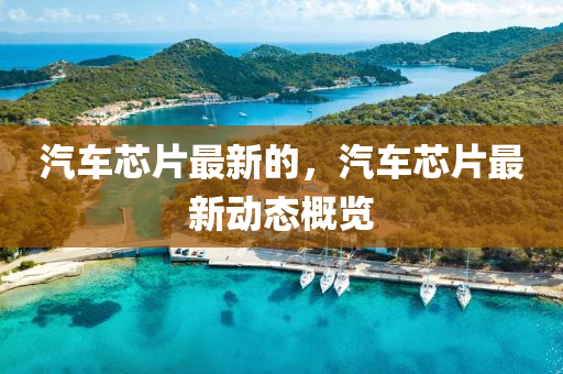 汽車芯片最新的，汽車芯片最新動態(tài)概覽石家莊阿鷗環(huán)?？萍加邢薰? class=
