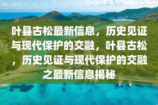 葉縣古松最新信息，歷史見(jiàn)證與現(xiàn)代保護(hù)的交融，葉縣古松，歷史見(jiàn)證與現(xiàn)代保護(hù)的交融之最新信息揭秘