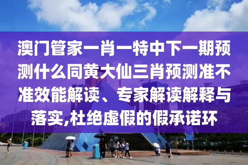 澳門管家一肖一特中下一期預(yù)測(cè)什么同黃大仙三肖預(yù)測(cè)準(zhǔn)不準(zhǔn)效能解讀、專家解讀解釋與落實(shí),杜絕虛假的假承諾環(huán)