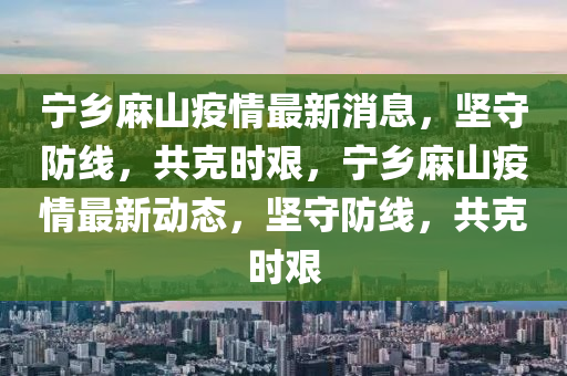 寧鄉(xiāng)麻山疫情最新消息，堅(jiān)守防線，共克時(shí)艱，寧鄉(xiāng)麻山疫情最新動(dòng)態(tài)，堅(jiān)守防線，共克時(shí)艱