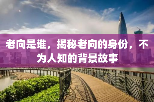 老向是誰，揭秘老向的身份，不為人知的背景故事