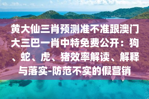 黃大仙三肖預(yù)測準(zhǔn)不準(zhǔn)跟澳門大三巴一肖中特免費公開：狗、蛇、虎、豬效率解讀、解釋與落實-防范不實的假營銷