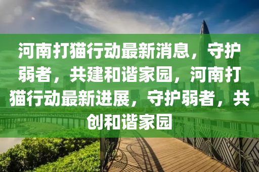 河南打貓行動最新消息，守護(hù)弱者，共建和諧家石家莊阿鷗環(huán)?？萍加邢薰緢@，河南打貓行動最新進(jìn)展，守護(hù)弱者，共創(chuàng)和諧家園