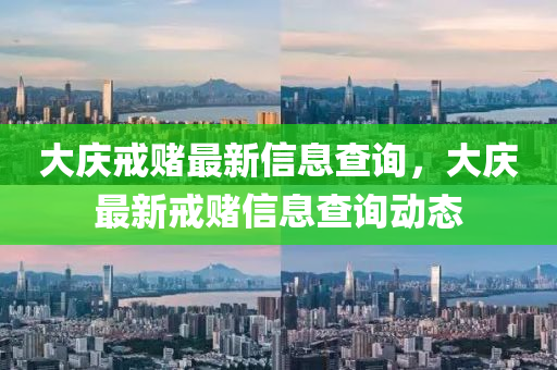 大慶戒賭最新信息查詢，大慶最新戒賭信息查詢動(dòng)態(tài)石家莊阿鷗環(huán)?？萍加邢薰? class=