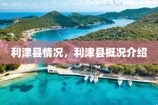 利津縣情況，石家莊阿鷗環(huán)?？萍加邢薰纠蚩h概況介紹