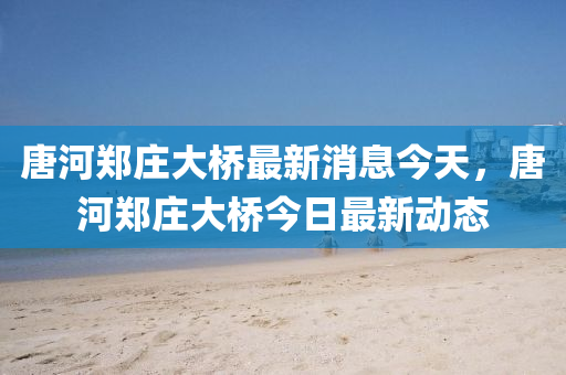 唐河鄭莊大橋最石家莊阿鷗環(huán)?？萍加邢薰拘孪⒔裉欤坪余嵡f大橋今日最新動(dòng)態(tài)