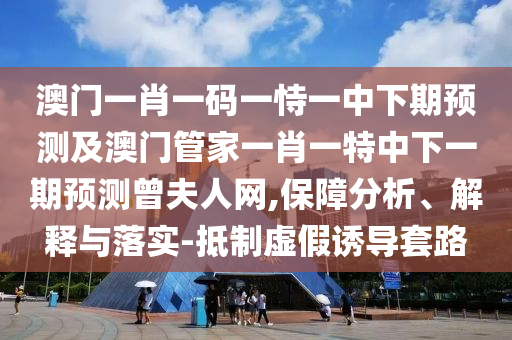 澳門一肖一碼一恃一中下期預測及澳門管家一肖一特中下一期預測曾夫人網,保障分析、解釋與落實-抵制虛假誘導套路