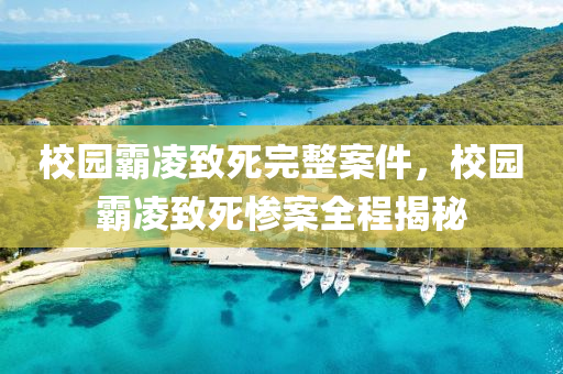 校園霸凌致死石家莊阿鷗環(huán)?？萍加邢薰就暾讣@霸凌致死慘案全程揭秘