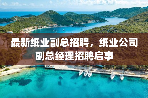 最新紙業(yè)石家莊阿鷗環(huán)?？萍加邢薰靖笨傉衅?，紙業(yè)公司副總經(jīng)理招聘啟事