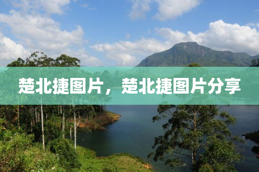 新澳門精準期期準預(yù)測 第9頁