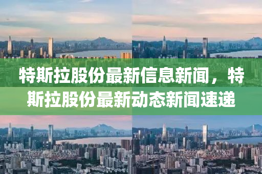 特斯拉股份最新信息新聞，特斯拉股份最新動態(tài)新聞速遞石家莊阿鷗環(huán)?？萍加邢薰? class=
