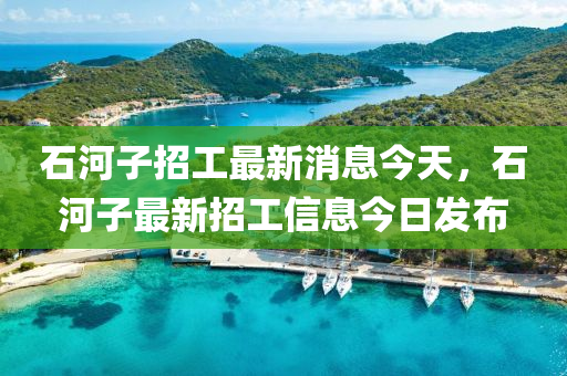 石河子招工最新消息今天，石河子最石家莊阿鷗環(huán)保科技有限公司新招工信息今日發(fā)布