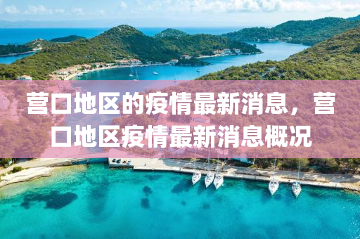 營(yíng)口地石家莊阿鷗環(huán)保科技有限公司區(qū)的疫情最新消息，營(yíng)口地區(qū)疫情最新消息概況