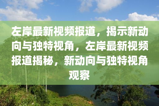 左岸最新視頻報(bào)道，揭示新動向與獨(dú)特視角，左岸最新視頻報(bào)道揭秘，石家莊阿鷗環(huán)保科技有限公司新動向與獨(dú)特視角觀察